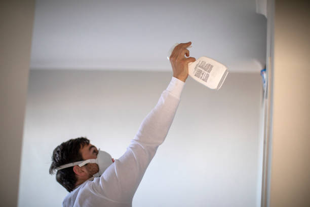 Best Water Damage Restoration  in Pima, AZ